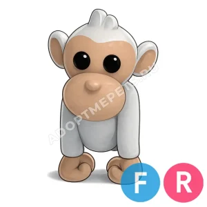 Albino Monkey