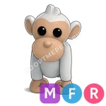 Albino Monkey