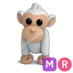 Albino Monkey
