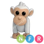 Albino Monkey