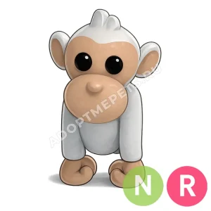 Albino Monkey