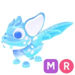 Arctic Dusk Dragon