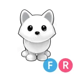 Arctic Fox