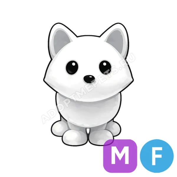 Arctic Fox