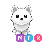 Arctic Fox
