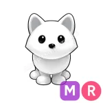 Arctic Fox