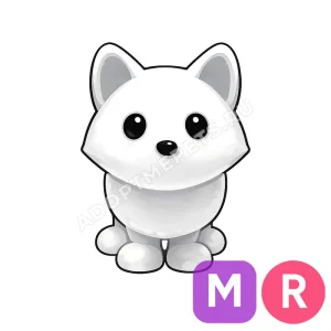 Arctic Fox