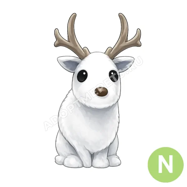 Arctic Reindeer