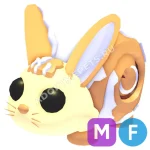 Bunny Swirl