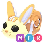 Bunny Swirl
