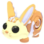 Bunny Swirl