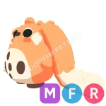 Cabbit