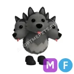 Cerberus