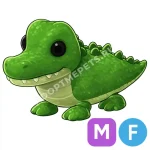 Crocodile