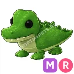 Crocodile