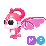 Cupid Dragon