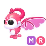 Cupid Dragon