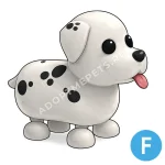 Dalmatian