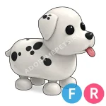 Dalmatian