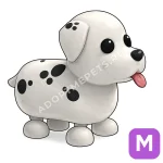 Dalmatian