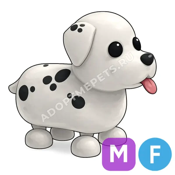 Dalmatian