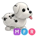 Dalmatian
