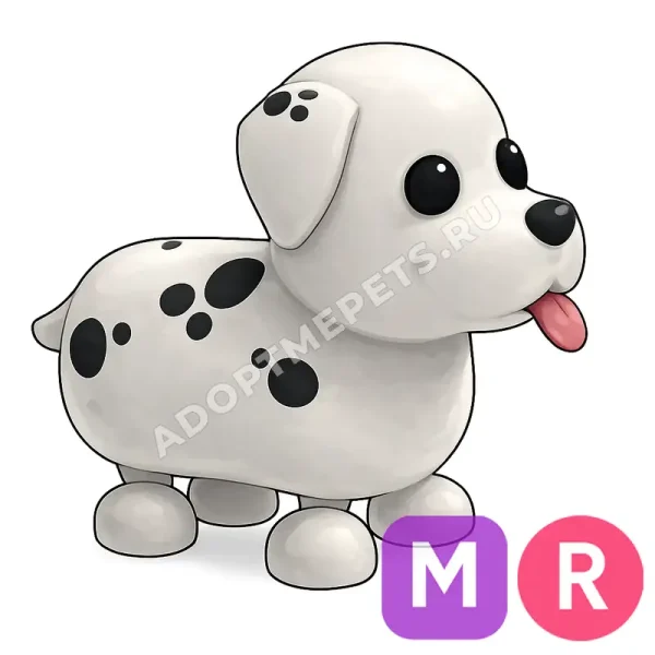 Dalmatian