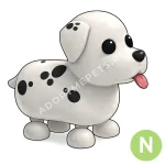 Dalmatian