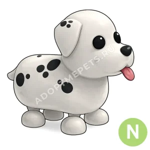 Dalmatian