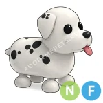 Dalmatian