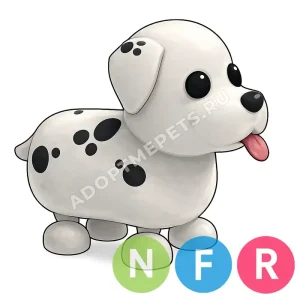 Dalmatian