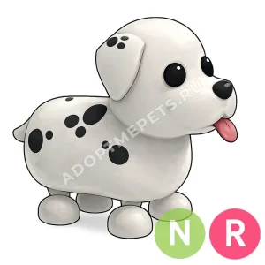 Dalmatian