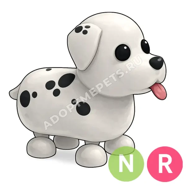 Dalmatian