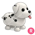 Dalmatian