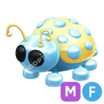Diamond Ladybug