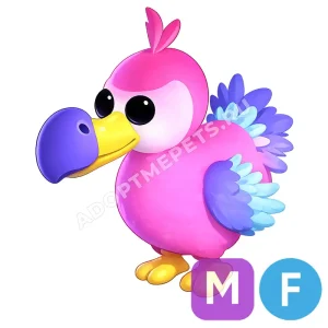Dodo