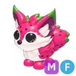 Dragonfruit Fox