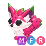 Dragonfruit Fox