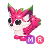 Dragonfruit Fox