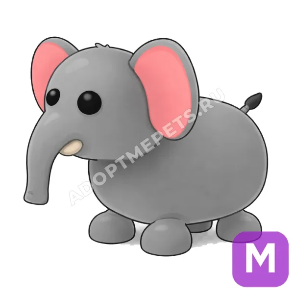 Elephant