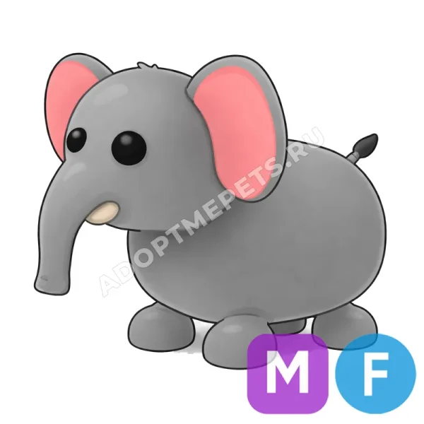 Elephant