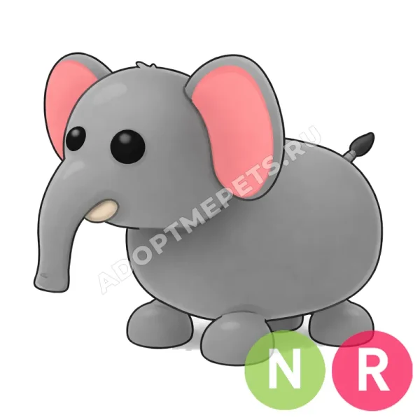Elephant