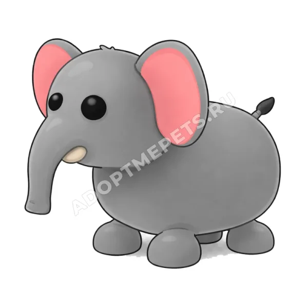Elephant
