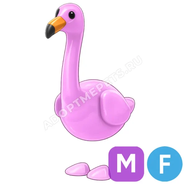 Flamingo