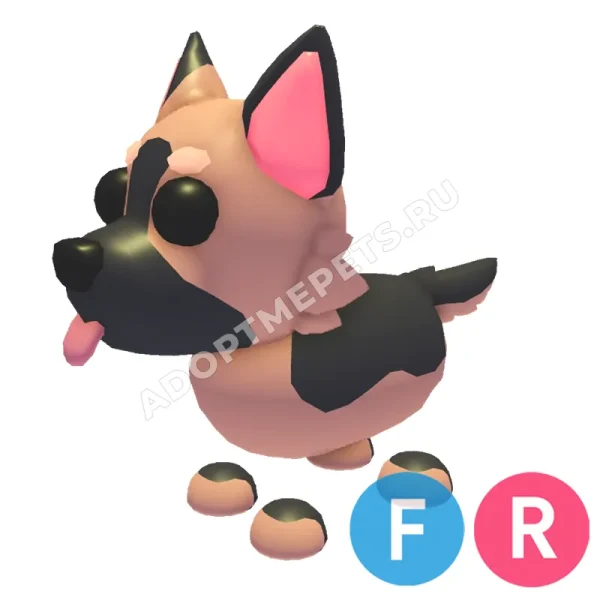 German Shepherd