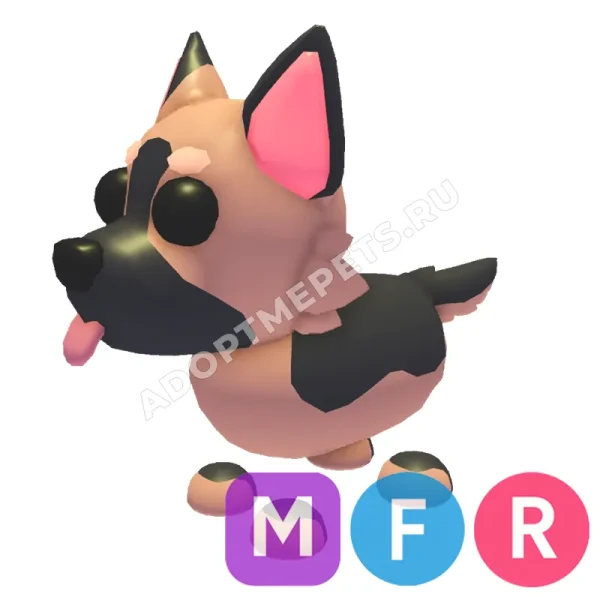 German Shepherd