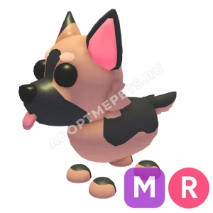 German Shepherd