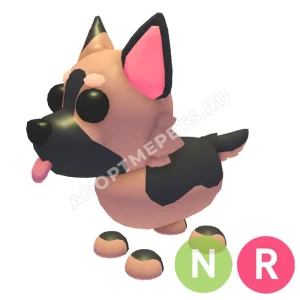 German Shepherd
