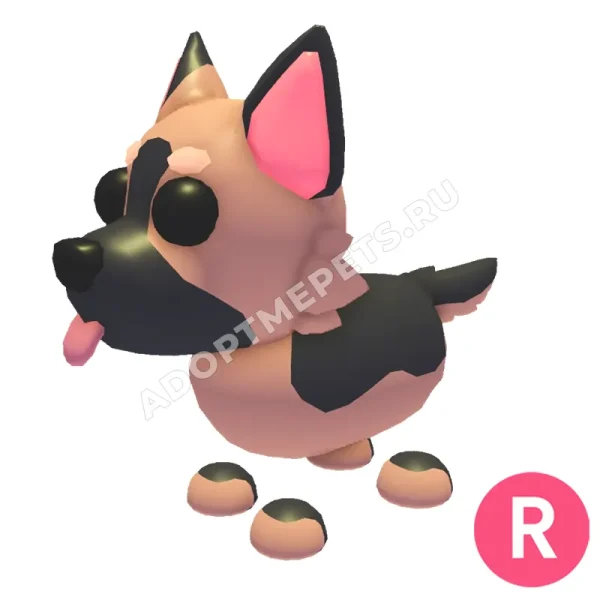 German Shepherd