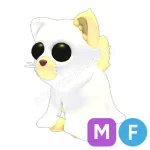 Ghostly Cat